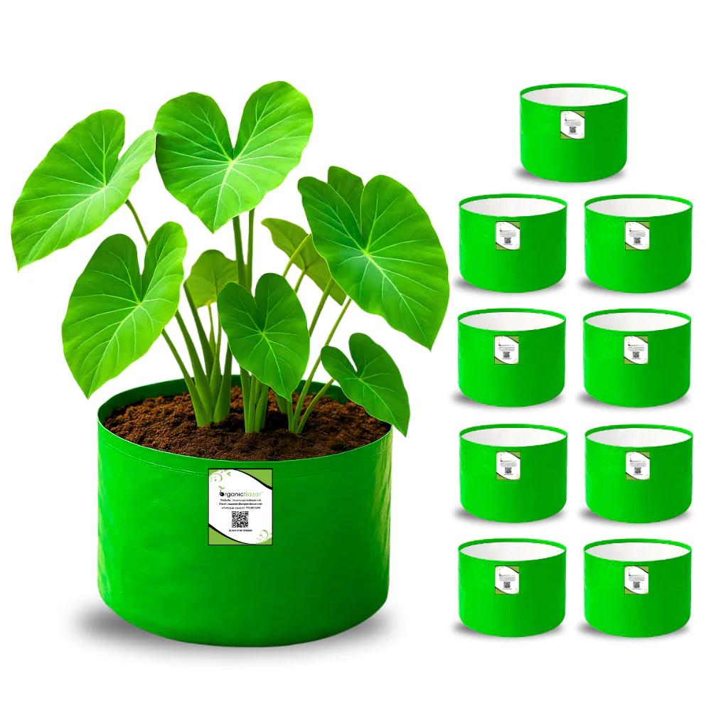 Top grow Bags